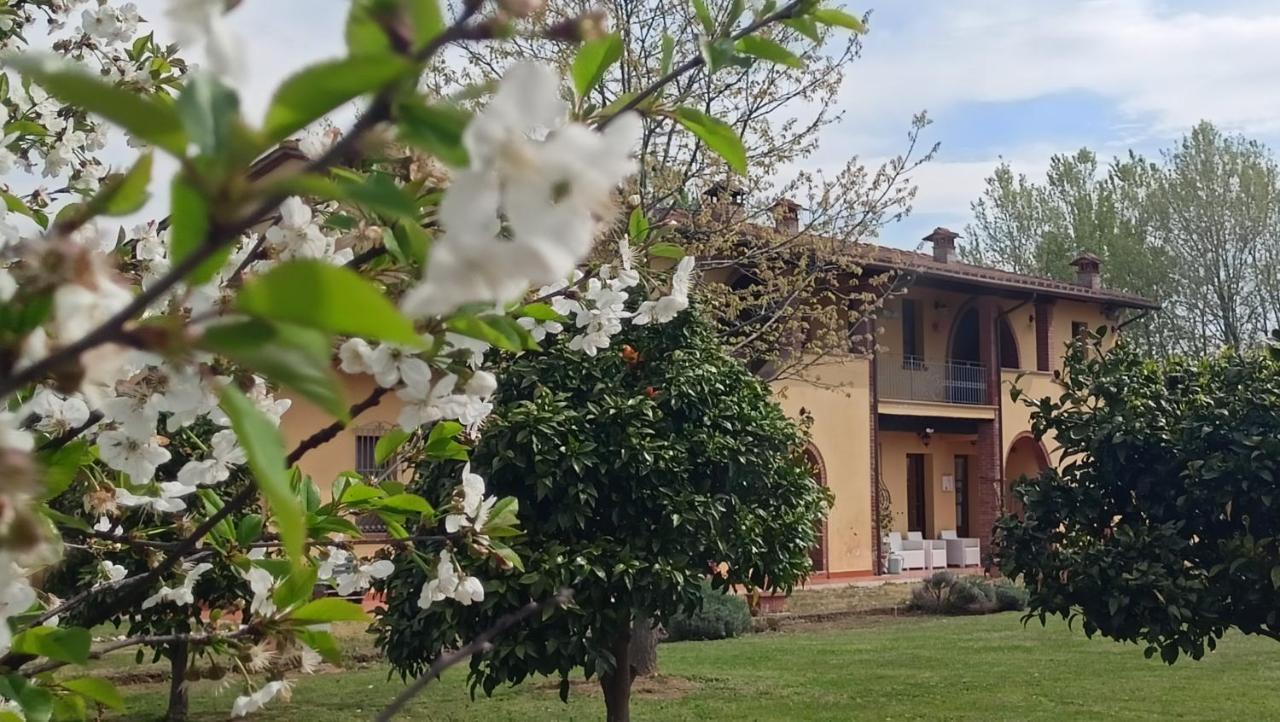 Il Chiassetto Agriturismo No Kids Cascina Exteriér fotografie