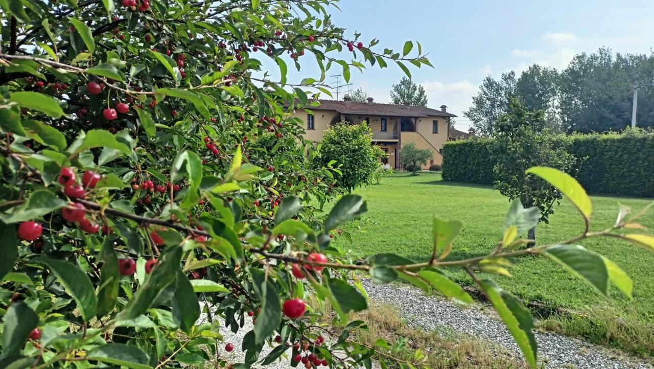 Il Chiassetto Agriturismo No Kids Cascina Exteriér fotografie