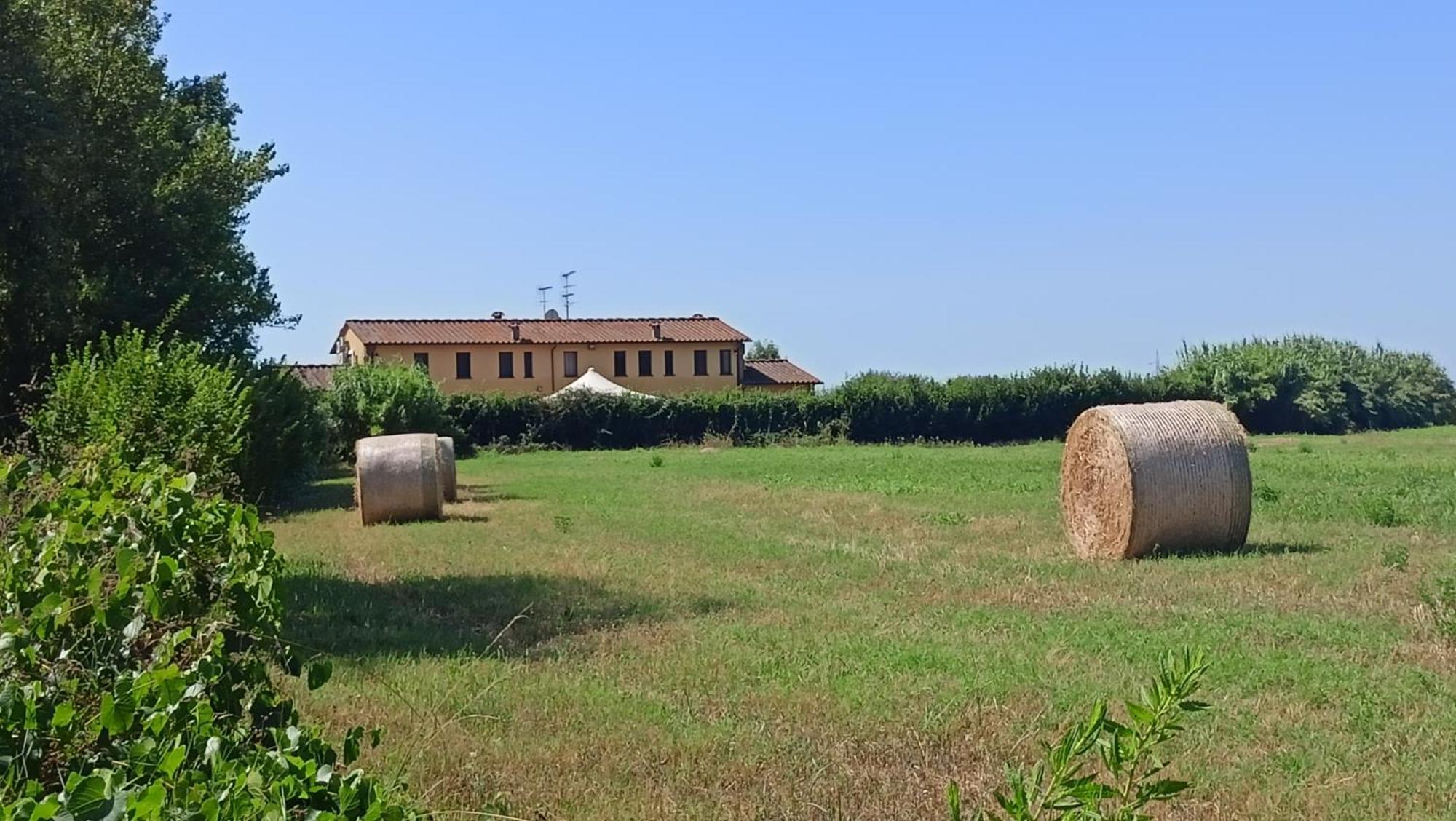 Il Chiassetto Agriturismo No Kids Cascina Exteriér fotografie